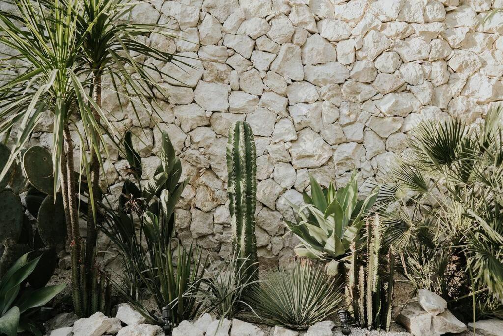 Design Casa Sandalo With Private Pool And Lounge * Tulum