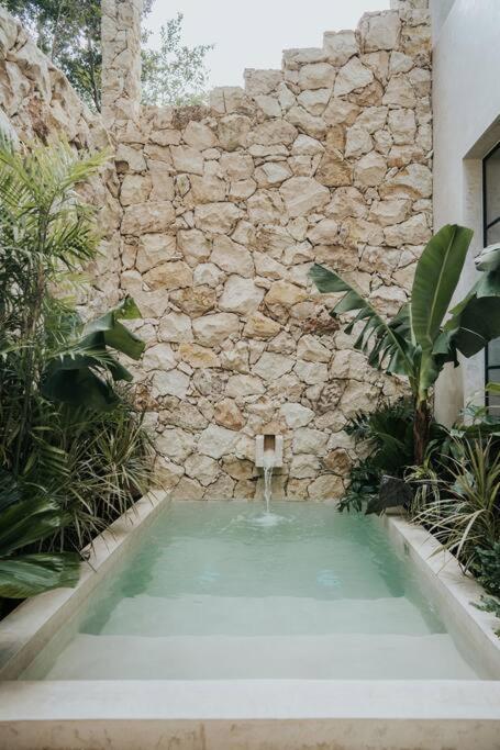 Design Casa Sandalo With Private Pool And Lounge Apartment Tulum