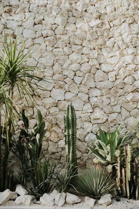 Design Casa Sandalo With Private Pool And Lounge Apartment Tulum